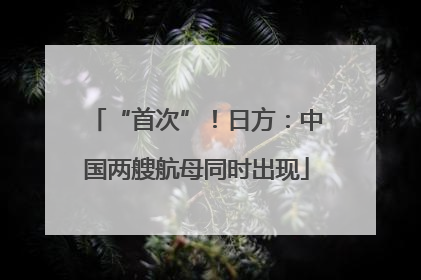 “首次”！日方：中国两艘航母同时出现