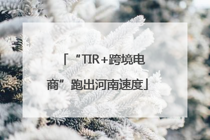 “TIR+跨境电商”跑出河南速度