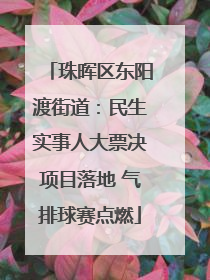 珠晖区东阳渡街道：民生实事人大票决项目落地 气排球赛点燃
