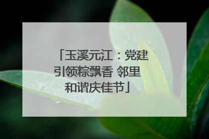 玉溪元江：党建引领粽飘香 邻里和谐庆佳节