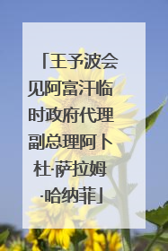 王予波会见阿富汗临时政府代理副总理阿卜杜·萨拉姆·哈纳菲