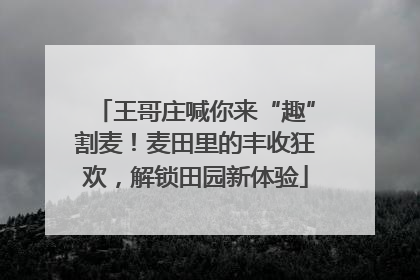 王哥庄喊你来“趣”割麦！麦田里的丰收狂欢，解锁田园新体验