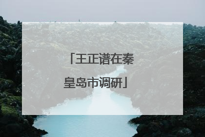 王正谱在秦皇岛市调研
