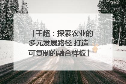 王超：探索农业的多元发展路径 打造可复制的融合样板