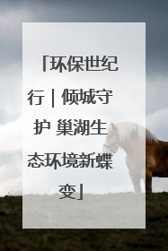 环保世纪行｜倾城守护 巢湖生态环境新蝶变