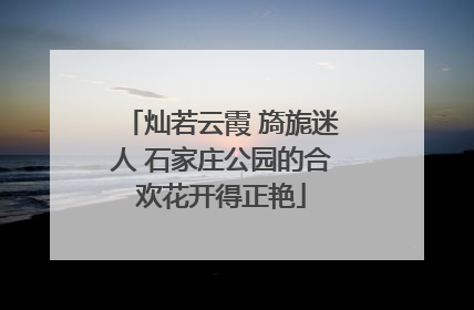 灿若云霞 旖旎迷人 石家庄公园的合欢花开得正艳