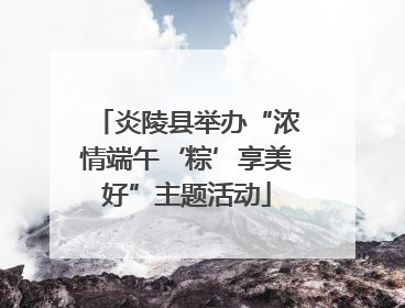 炎陵县举办“浓情端午‘粽’享美好”主题活动