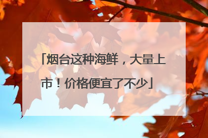 烟台这种海鲜，大量上市！价格便宜了不少