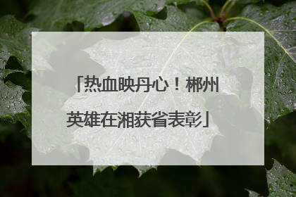 热血映丹心！郴州英雄在湘获省表彰