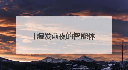 爆发前夜的智能体，落在中国算力的舒适区｜海斌访谈