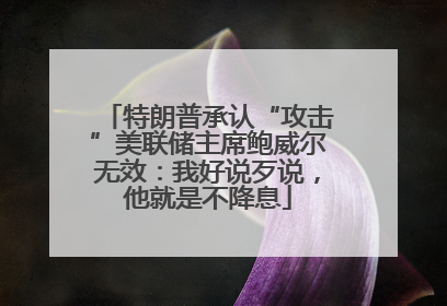 特朗普承认“攻击”美联储主席鲍威尔无效：我好说歹说，他就是不降息