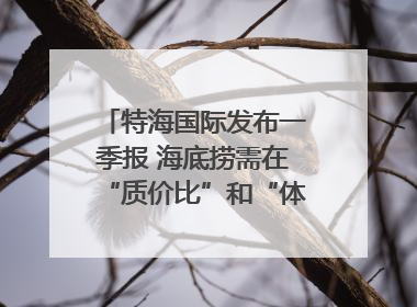 特海国际发布一季报 海底捞需在“质价比”和“体验感”中找到平衡｜新经济观察
