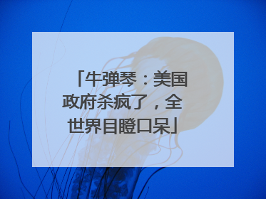 牛弹琴：美国政府杀疯了，全世界目瞪口呆
