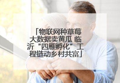 物联网种草莓 大数据卖黄瓜 临沂“四雁孵化”工程链动乡村共富