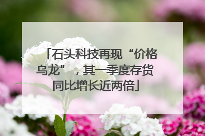 石头科技再现“价格乌龙”，其一季度存货同比增长近两倍