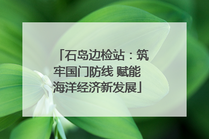 石岛边检站：筑牢国门防线 赋能海洋经济新发展