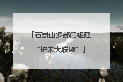 石景山多部门组建“护未大联盟”