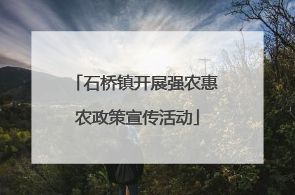 石桥镇开展强农惠农政策宣传活动