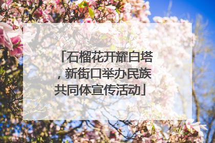 石榴花开耀白塔，新街口举办民族共同体宣传活动