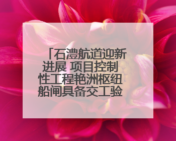 石澧航道迎新进展 项目控制性工程艳洲枢纽船闸具备交工验收条件