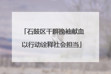 石鼓区干群挽袖献血 以行动诠释社会担当