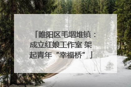 睢阳区毛堌堆镇：成立红娘工作室 架起青年“幸福桥”