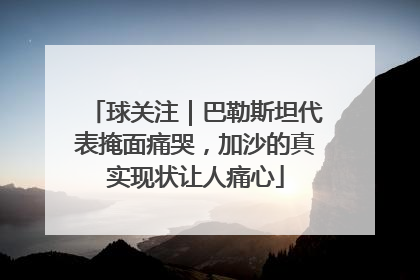 球关注｜巴勒斯坦代表掩面痛哭，加沙的真实现状让人痛心
