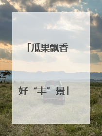 瓜果飘香 好“丰”景