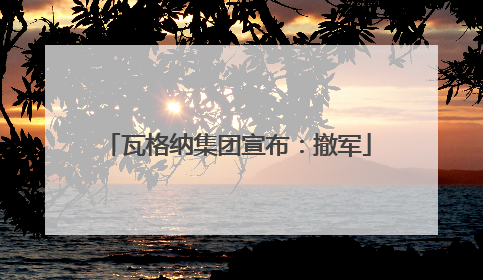 瓦格纳集团宣布：撤军