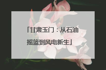 甘肃玉门：从石油摇篮到风电新生