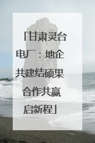 甘肃灵台电厂：地企共建结硕果 合作共赢启新程