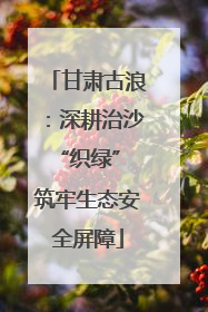 甘肃古浪：深耕治沙“织绿” 筑牢生态安全屏障