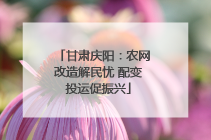 甘肃庆阳：农网改造解民忧 配变投运促振兴
