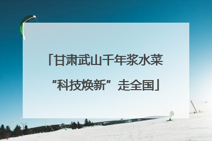 甘肃武山千年浆水菜“科技焕新”走全国