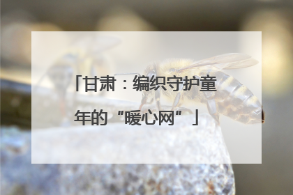 甘肃：编织守护童年的“暖心网”