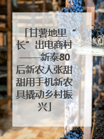 甘薯地里“长”出电商村——新泰80后新农人张甜甜用手机新农具撬动乡村振兴
