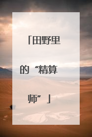 田野里的“精算师”