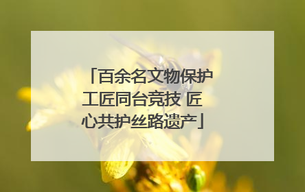 百余名文物保护工匠同台竞技 匠心共护丝路遗产