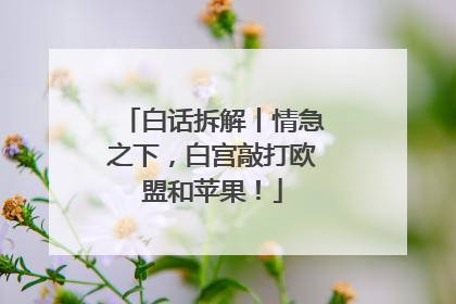 白话拆解丨情急之下，白宫敲打欧盟和苹果！