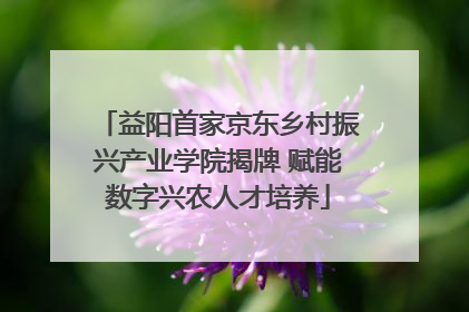 益阳首家京东乡村振兴产业学院揭牌 赋能数字兴农人才培养