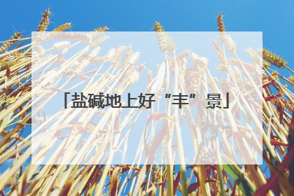 盐碱地上好“丰”景