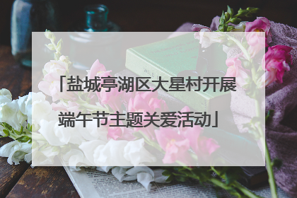 盐城亭湖区大星村开展端午节主题关爱活动