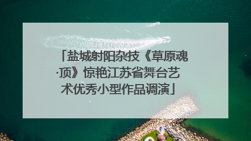 盐城射阳杂技《草原魂·顶》惊艳江苏省舞台艺术优秀小型作品调演