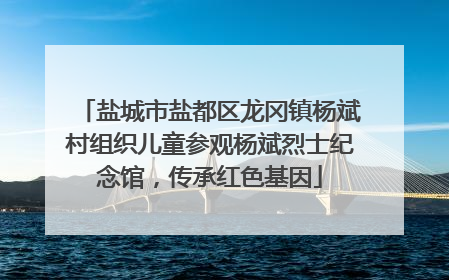 盐城市盐都区龙冈镇杨斌村组织儿童参观杨斌烈士纪念馆，传承红色基因