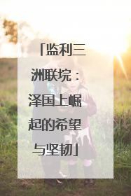 监利三洲联垸：泽国上崛起的希望与坚韧