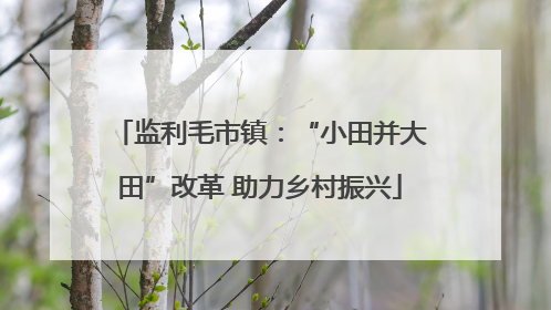 监利毛市镇：“小田并大田”改革 助力乡村振兴