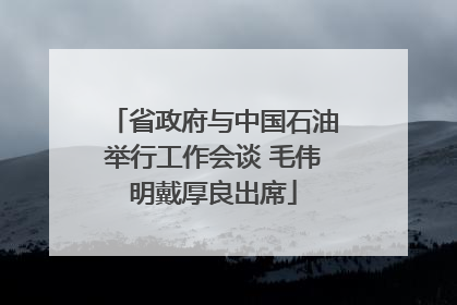 省政府与中国石油举行工作会谈 毛伟明戴厚良出席