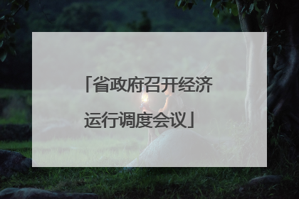 省政府召开经济运行调度会议
