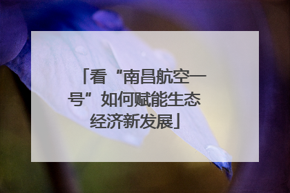 看“南昌航空一号”如何赋能生态经济新发展