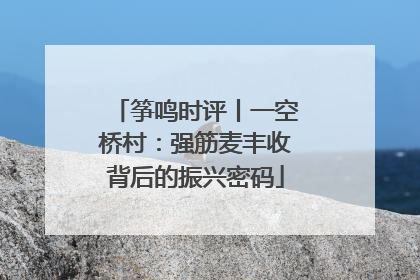 筝鸣时评丨一空桥村：强筋麦丰收背后的振兴密码